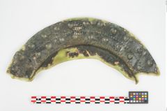 Foto von Bronzebreitrandschale (NHMW-PRAE-025984)
